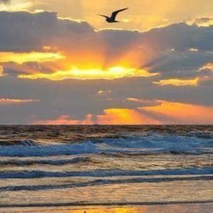 Meet your Posher, Johnna